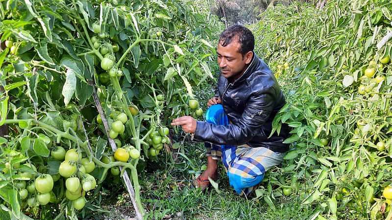 প্রথম আলো