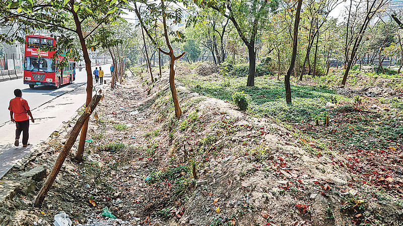   ছবি: প্রথম আলো 