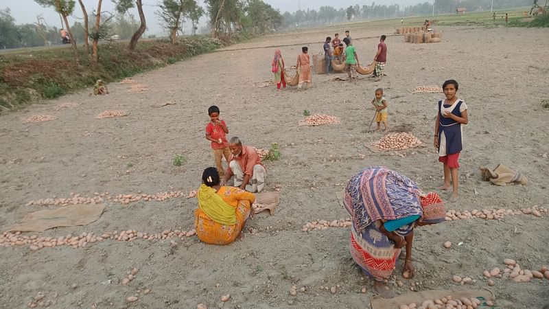 ছবি: প্রথম আলো