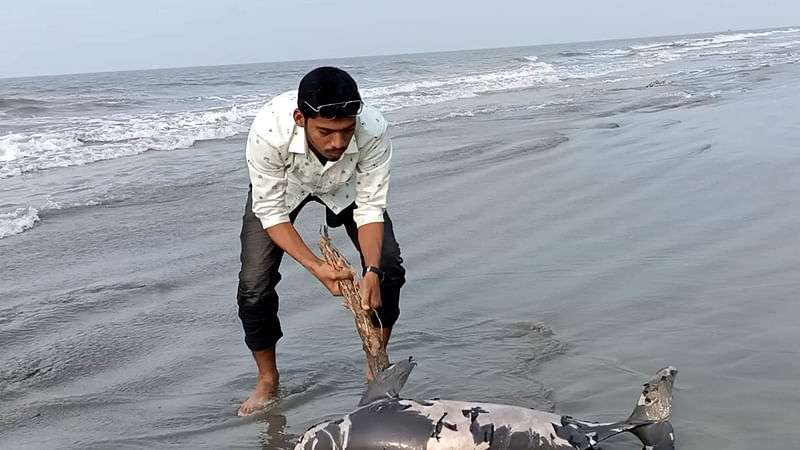 ছবি: প্রথম আলো