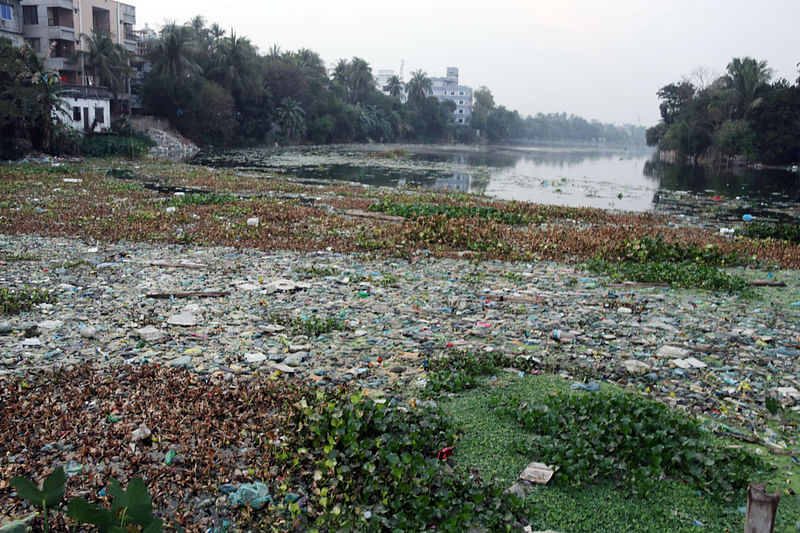  ছবি: এম সাদেক