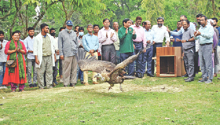  ছবি: সাকিব আহমেদ 