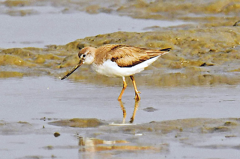  ছবি: লেখক