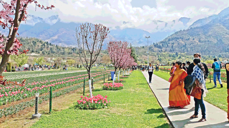 সম্প্রতি তোলা ছবি। প্রথম আলো