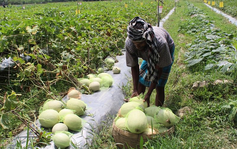 ছবি: প্রথম আলো