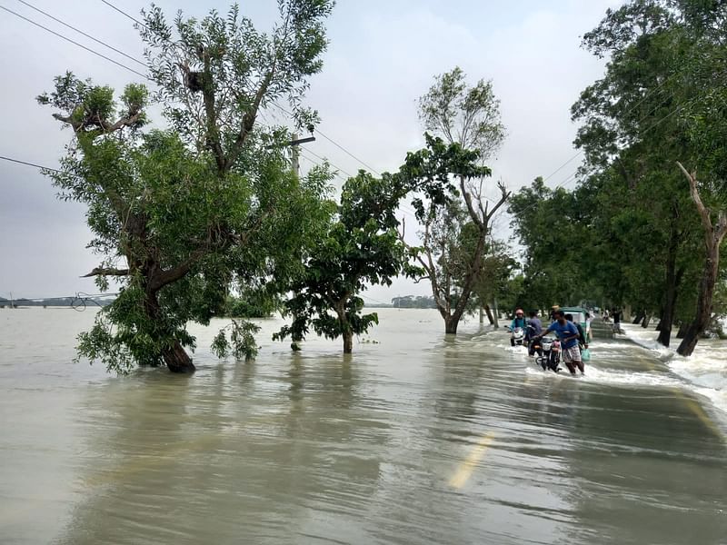 ফাইল ছবি: প্রথম আলো