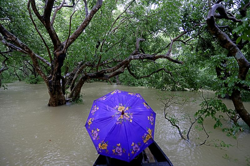 এ সময়ে যেমন রাতারগুল