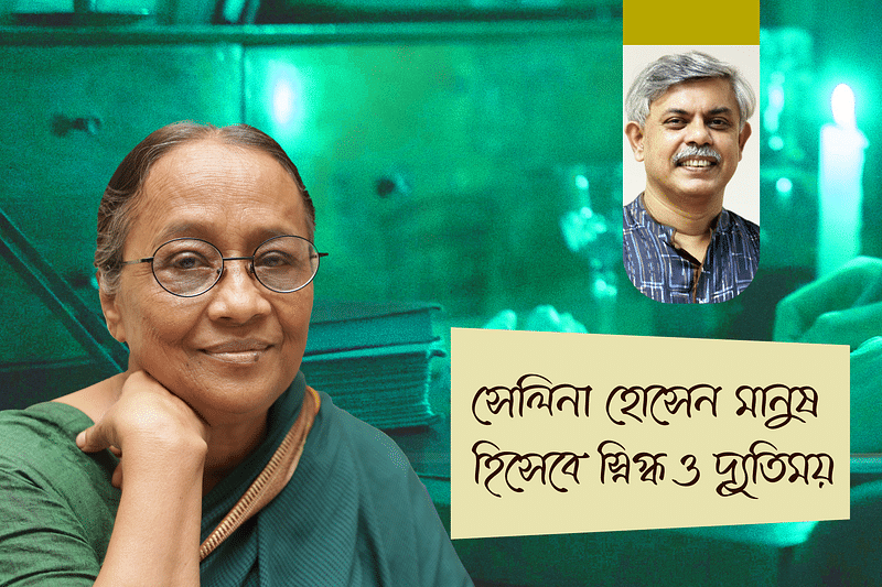 সেলিনা হোসেনের ছবি অবলম্বনে গ্রাফিকস
