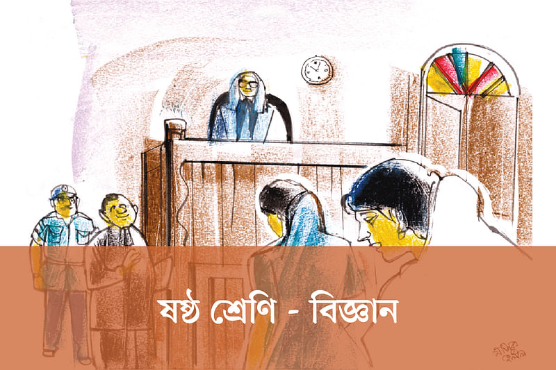 ষষ্ঠ শ্রেণি - বিজ্ঞান | অধ্যায় ৪ : বহুনির্বাচনি প্রশ্ন (১১-২০)