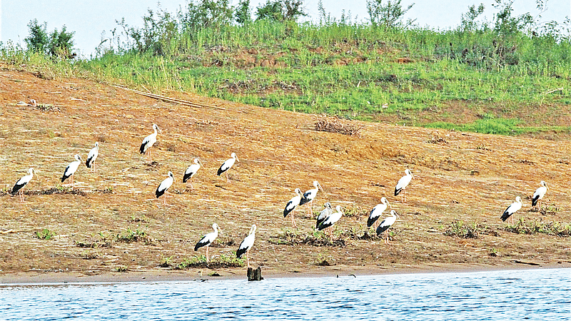 ছবি: সুপ্রিয় চাকমা