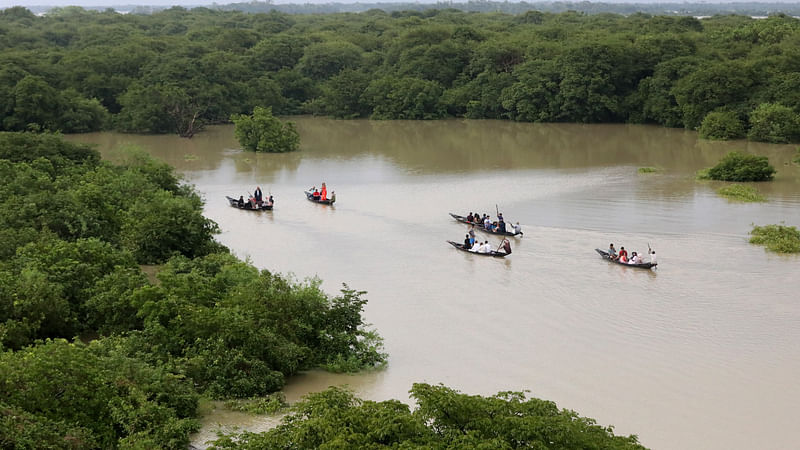 ফাইল ছবি: প্রথম আলো