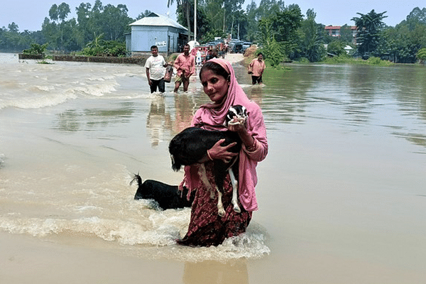 ছবি: আব্দুল আজিজ
