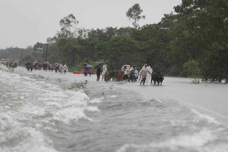 ছবি: আনিস মাহমুদ