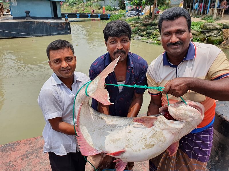 ছবি: প্রথম আলো