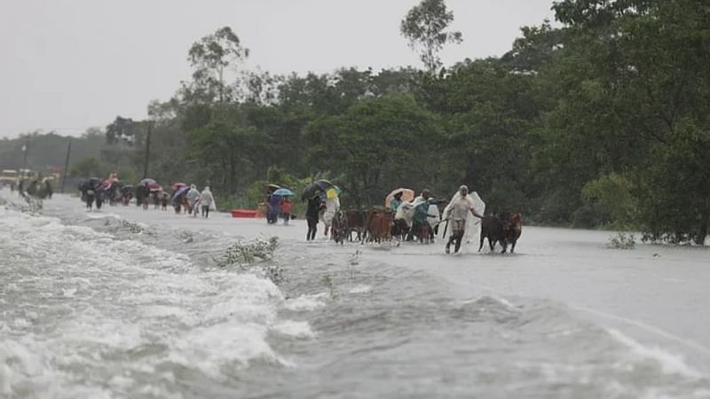 ছবি : প্রথম আলো