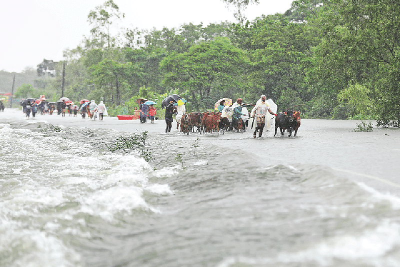 ছবি: আনিস মাহমুদ