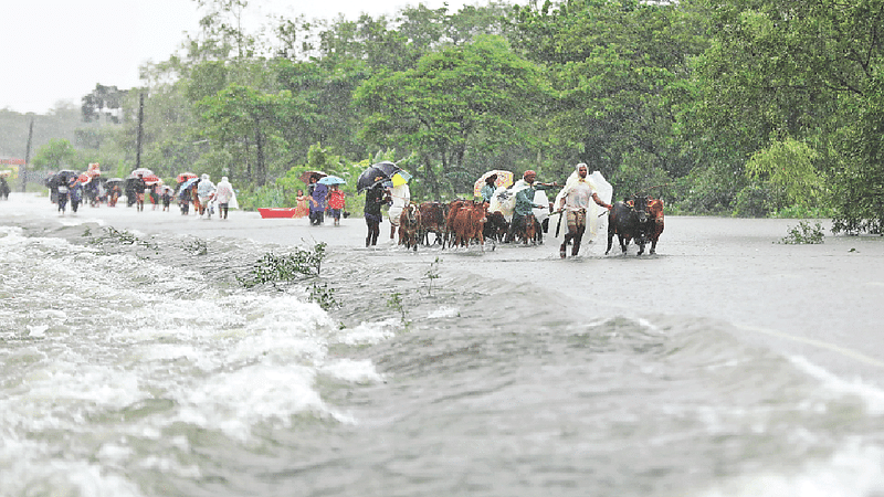 ছবি: আনিস মাহমুদ