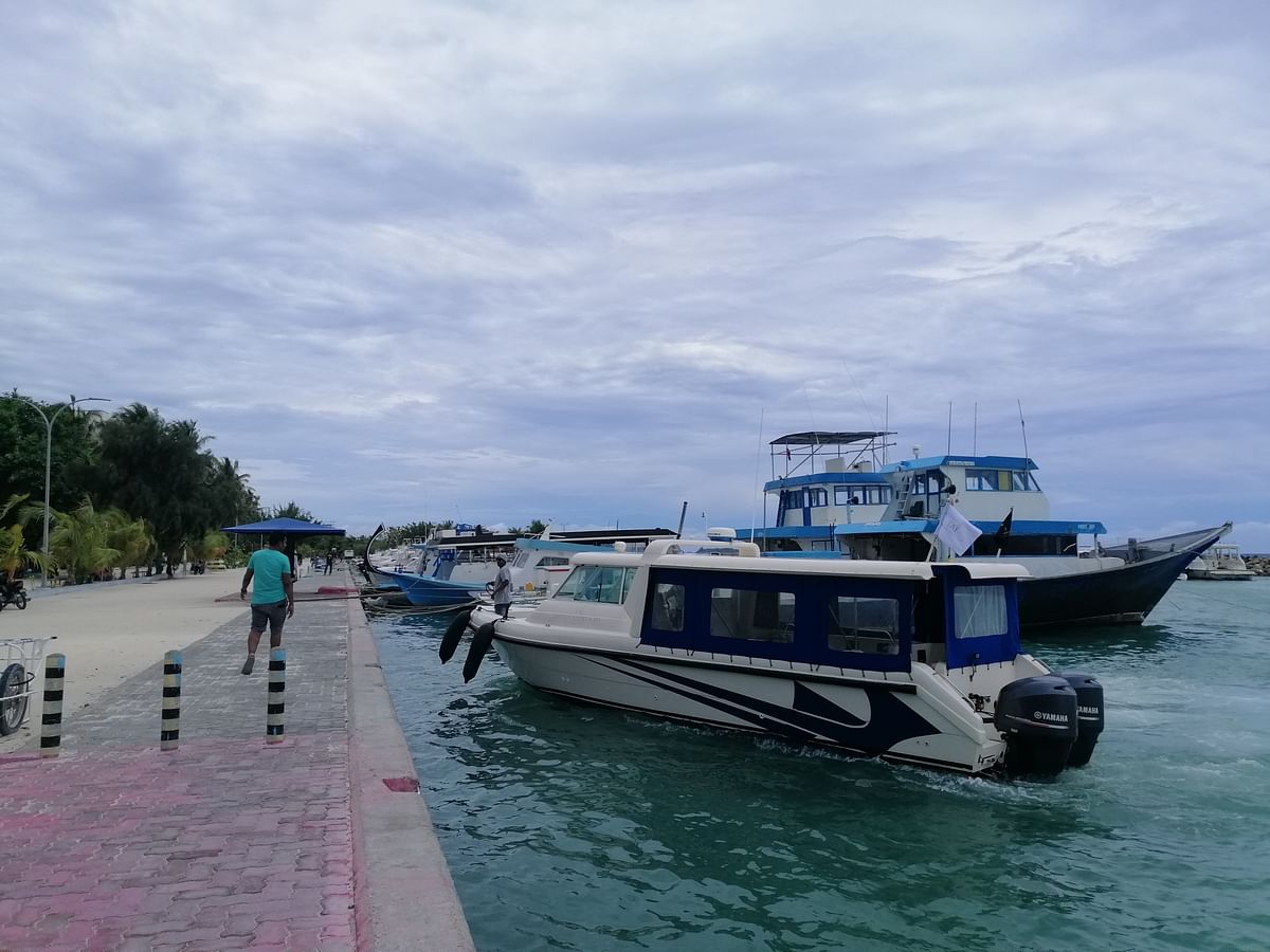 মাফুশির জেটি