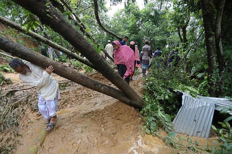 টিলার মাটির সঙ্গে ধসে পড়েছে গাছ। গাছের নিচ দিয়ে ঘটনাস্থল দেখতে আসছেন লোকজন