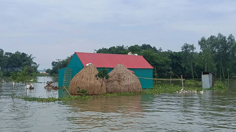 ছবি: প্রথম আলো