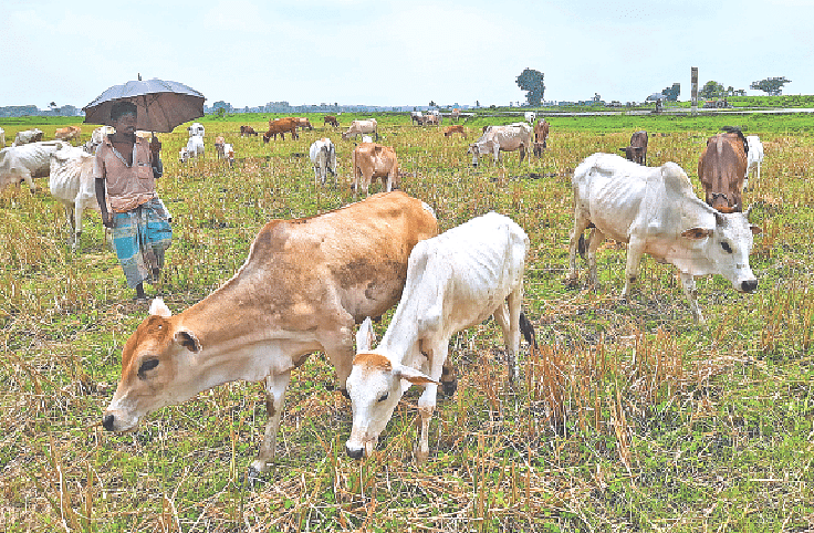 প্রথম আলো