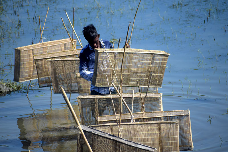 ছবি: সোয়েল রানা