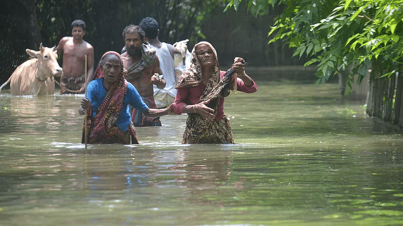 ফাইল ছবি