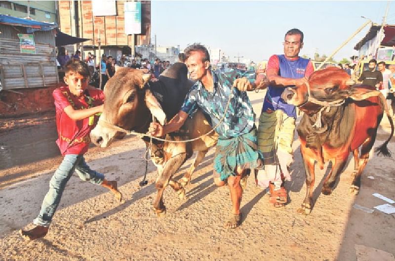 ছবি: তানভীর আহাম্মেদ  