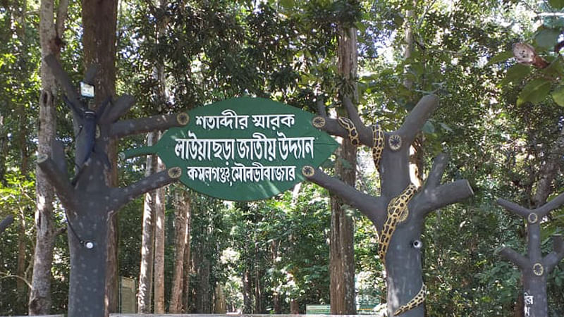 ছবি: প্রথম আলো