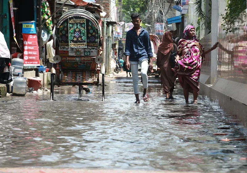 ফাইল ছবি: প্রথম আলো