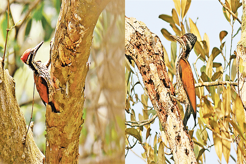 ছবি: লেখক