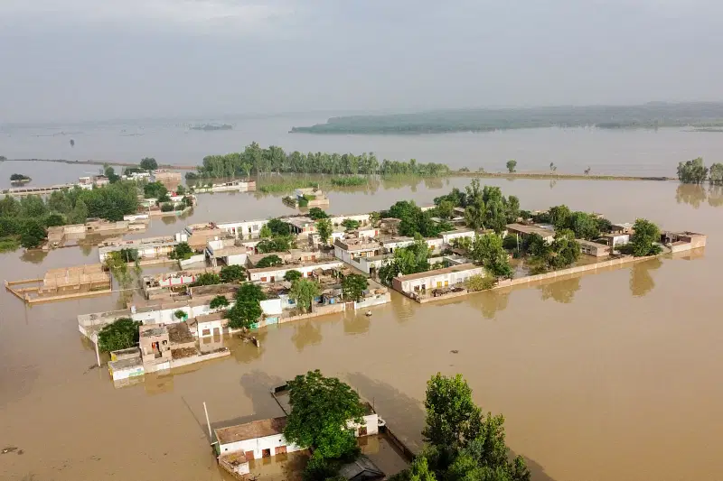 ছবি: এএফপি ফাইল ছবি