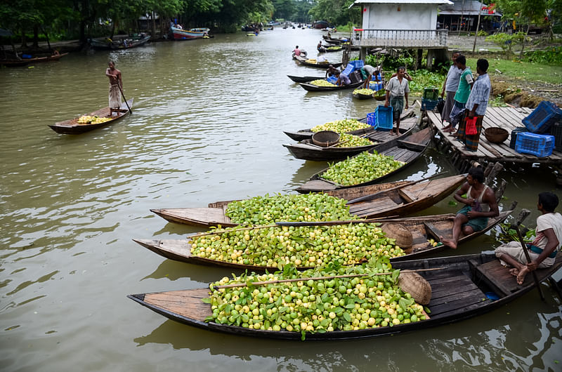 ছবি: প্রথম আলো