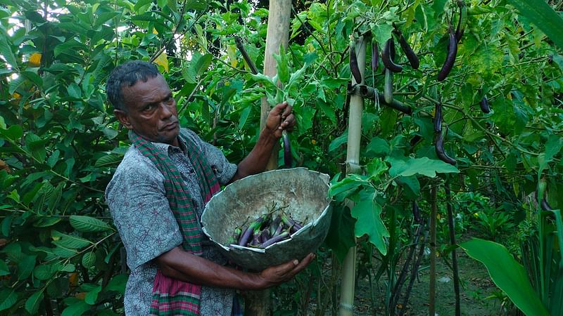 ছবি: প্রথম আলো