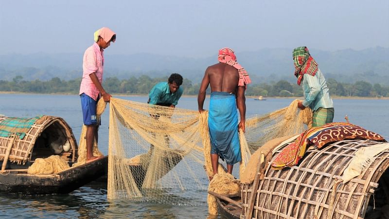 ফাইল ছবি