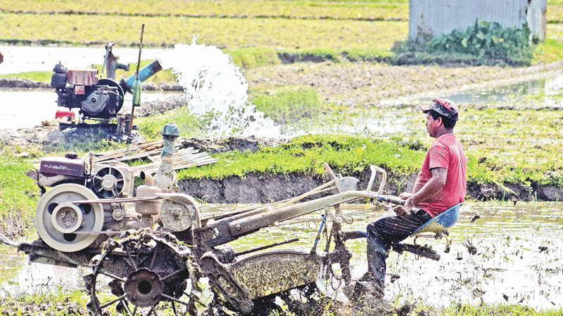 ছবি: সোয়েল  রানা