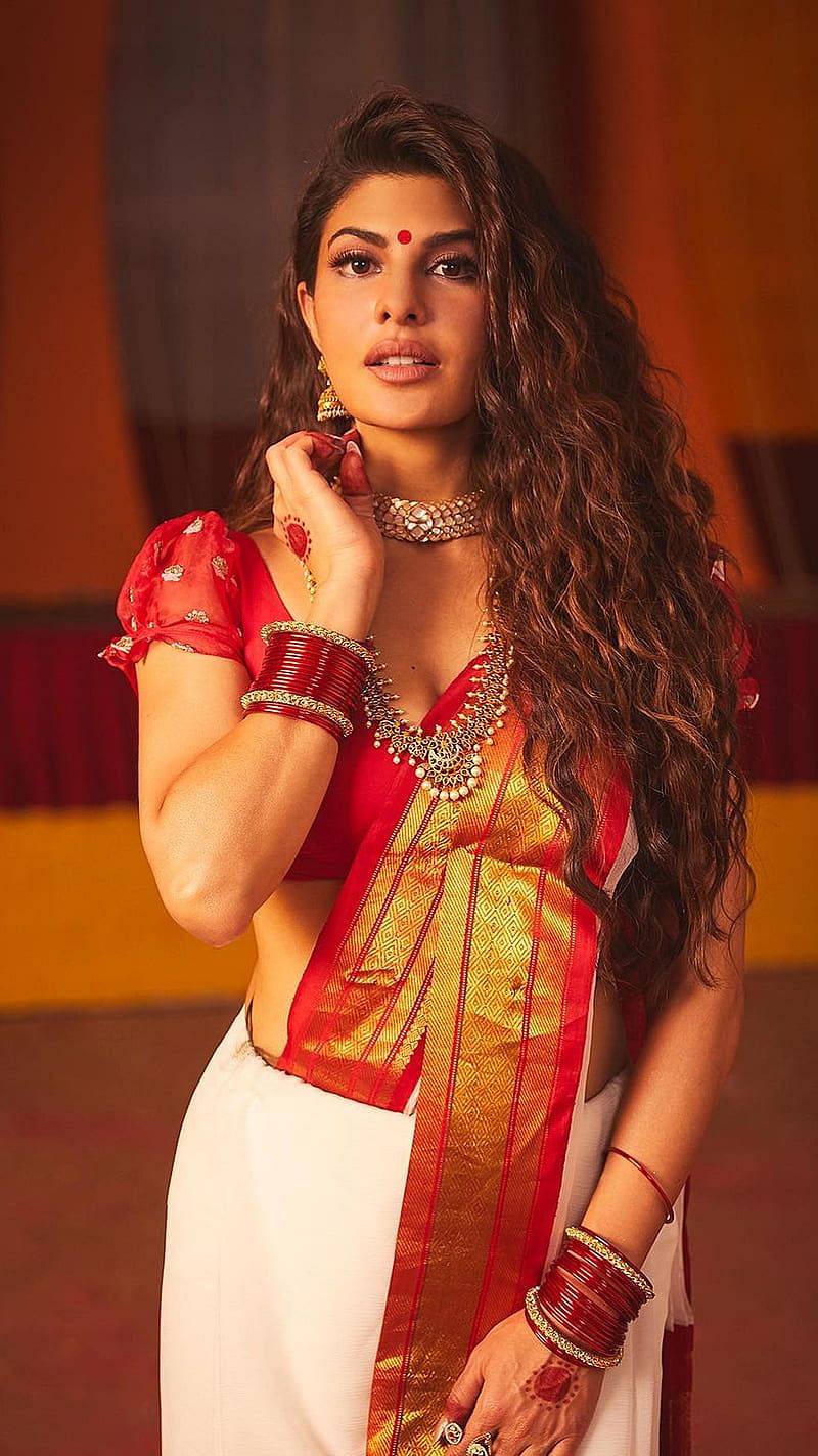 বলিউড অভিনেত্রী জ্যাকুলিন ফার্নান্দেজ