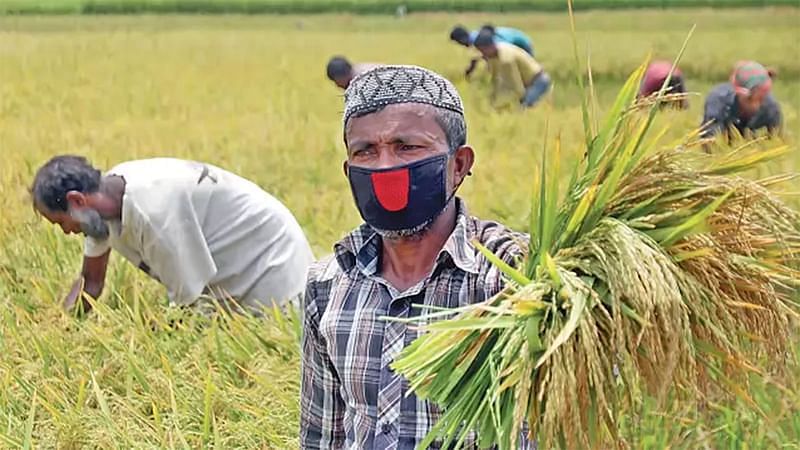 ফাইল ছবি: প্রথম আলো