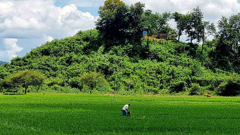 ছবি: প্রথম আলো