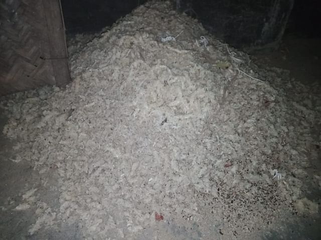 ওএমএস কর্মসূচির আওতায় বিতরণ করা ময়লা ও দুর্গন্ধযুক্ত চাল। বুধবার ঝিনাইদহের শৈলকুপা উপজেলার কোটপাড়া এলাকায়