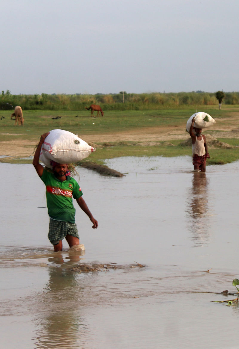 ছবি: হাসান মাহমুদ