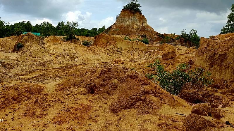 ছবি: প্রথম আলো