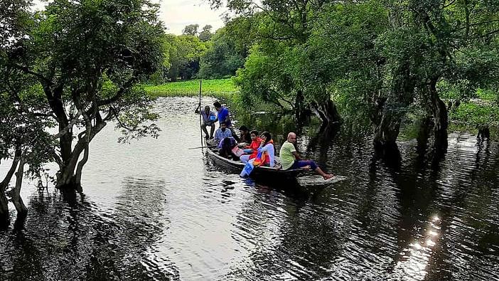 ছবি: প্রথম আলো
