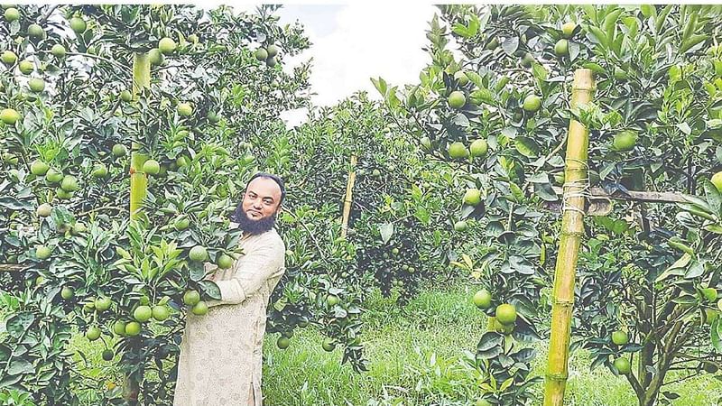  ছবি: প্রথম আলো