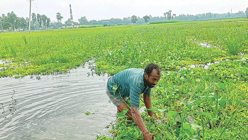 ছবি: প্রথম আলো