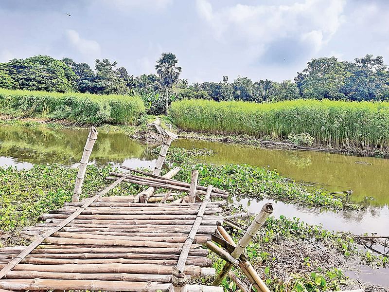 ছবি: প্রথম আলো