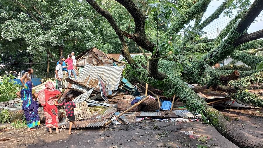 ঘূর্ণিঝড় সিত্রাংয়ের প্রভাবে নরসিংদী শহরের সাটিরপাড়া এলাকায় বিশাল কড়ইগাছ পড়ে যায়। এর নিচে চাপা পড়ে তিন পরিবারের তিনটি ঘর
