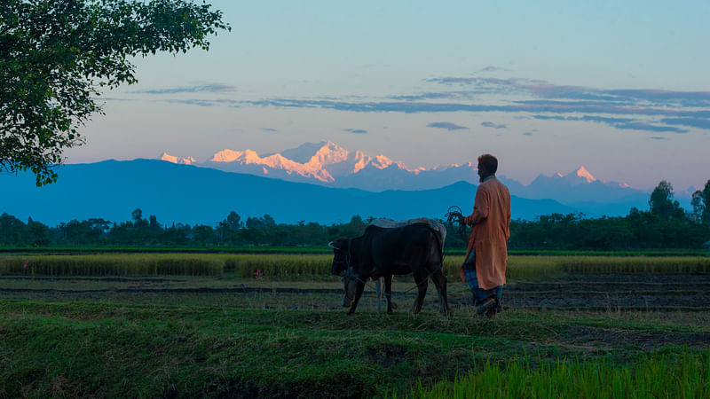 ছবি: মারুফ হাসান