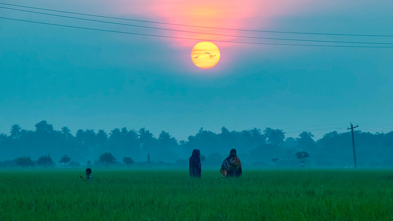 ছবি: হাসান মাহমুদ