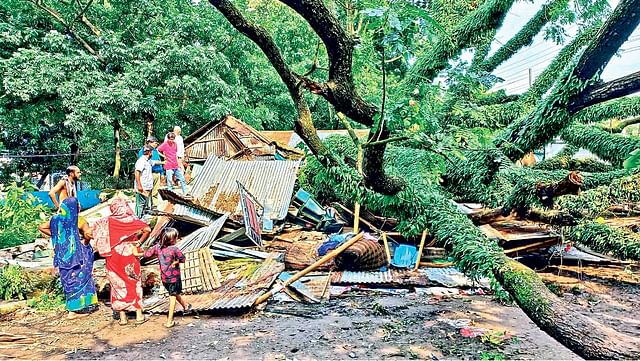 ঘূর্ণিঝড় সিত্রাংয়ের প্রভাবে গত সোমবার রাত তিনটার দিকে বিশালাকৃতির কড়ইগাছটি ভেঙে পড়ে বসতঘরের ওপর। টের পেয়ে বাসিন্দারা বেরিয়ে আসতে সক্ষম হন। গতকাল দুপুরে নরসিংদী শহরের সাটিরপাড়া এলাকায় উপজেলা ভূমি কার্যালয়ের পাশে